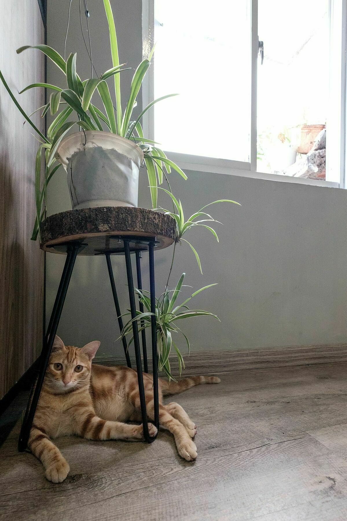 Saigon Inner Home Ho Či Minovo Město Exteriér fotografie